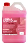 HAND SOAP LIQUID PINK 5L