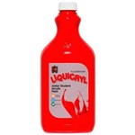 EDUCATIONAL COLOURS LIQUICRYL JUNIOR STUDENT FLURO PAINT 2 LITRE SCARLET